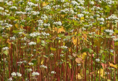 201409261020-DSC04969.jpg