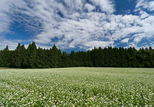 201409261039-DSC03074N6.jpg