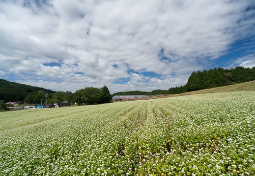 201409261043-DSC03084N6.jpg
