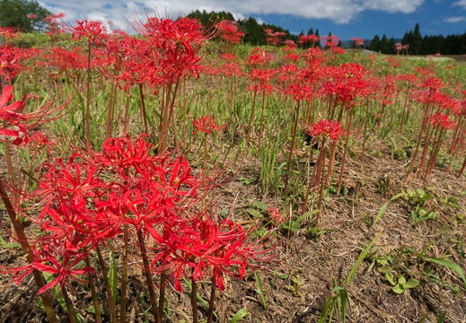 201409261048-DSC03105N6.jpg
