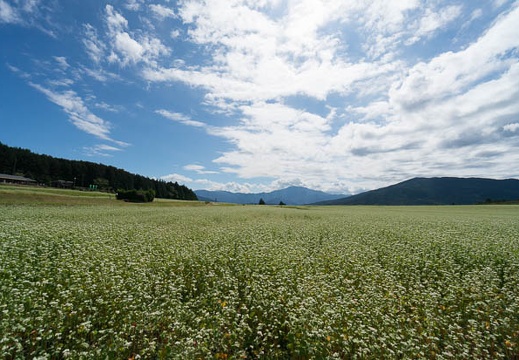 201409261052-DSC03112N6.jpg