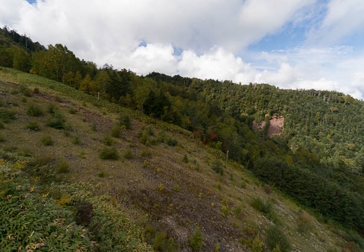 201409261339-DSC03164N6.jpg