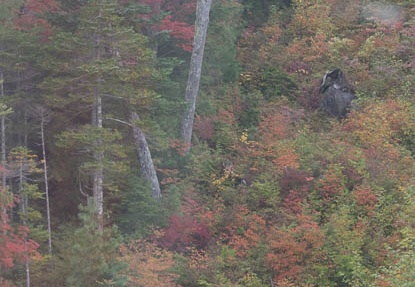 201409261340-DSC05021.jpg
