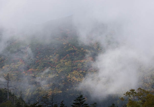 201409261342-DSC05024.jpg