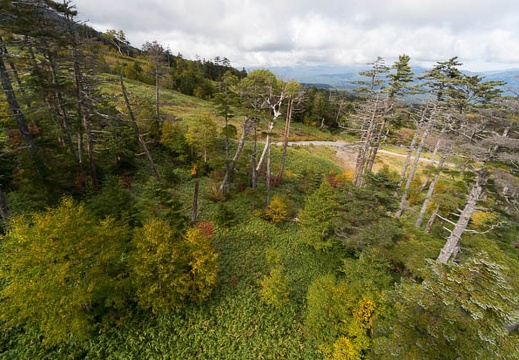 201409261344-DSC03170N6.jpg