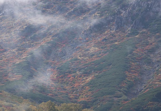 201409261350-DSC05042.jpg