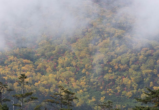 201409261354-DSC05050.jpg
