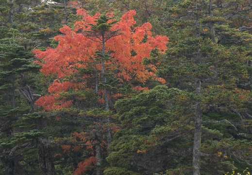 201409261354-DSC05051.jpg