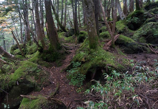201409261420-DSC03238N6.jpg