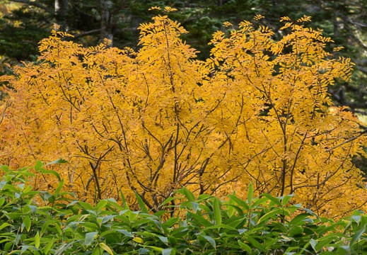 201409261438-DSC05067.jpg
