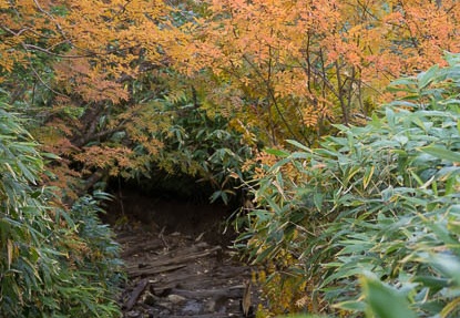 201409261444-DSC05068.jpg