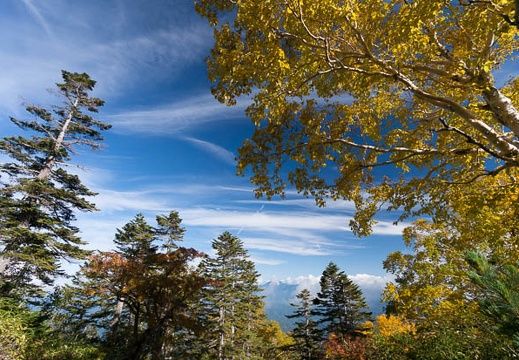 201409261455-DSC03274N6.jpg