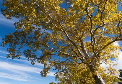 201409261455-DSC03277N6.jpg