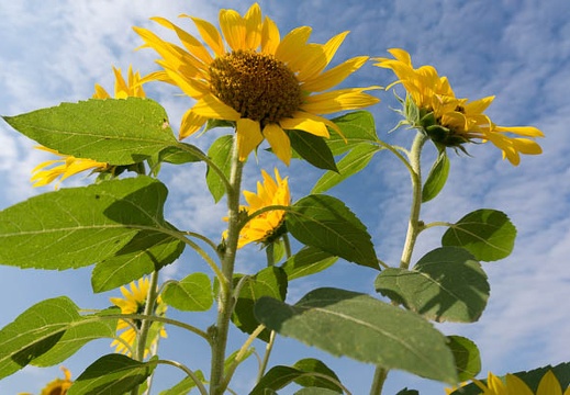 201409300911-DSC03712N6.jpg