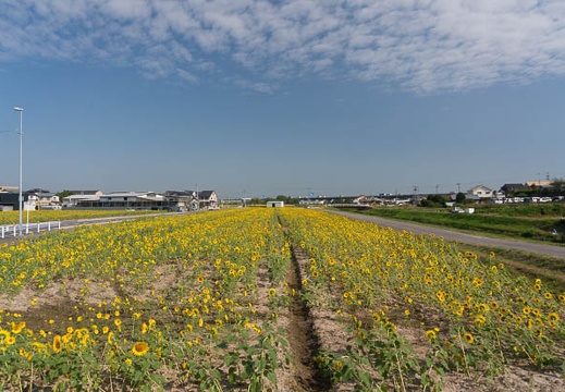 201409300918-DSC03729N6.jpg