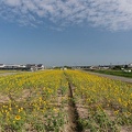 201409300918-DSC03729N6.jpg