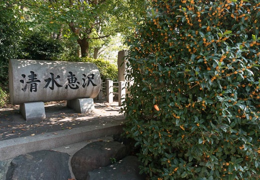 201409300939-DSC03762N6.jpg