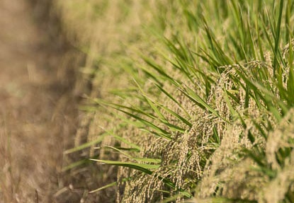 201409301014-DSC06722.jpg