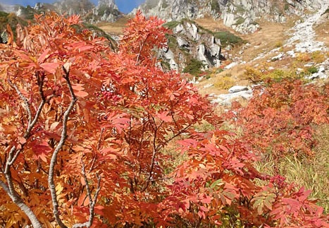 20141001082429-SO-01F.jpg