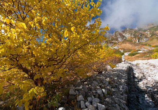 201410010840-DSC04055N6.jpg