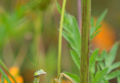 201410031103-DSC01030.jpg