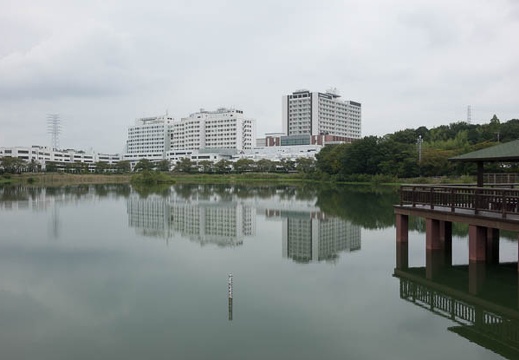 201410031118-DSC01056.jpg