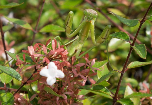201410031213-DSC01088.jpg