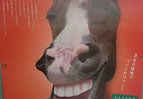 20141004080601-SO-01F.jpg