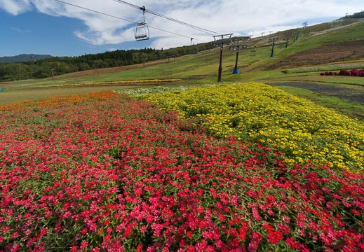 201410040903-DSC04686N6.jpg