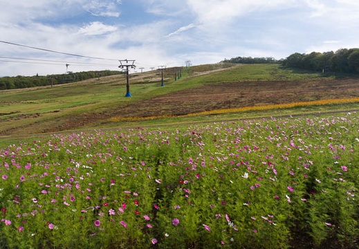 201410040907-DSC04706N6.jpg