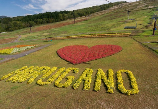 201410040947-DSC04830N6.jpg