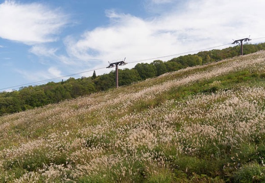 201410040949-DSC04844N6.jpg