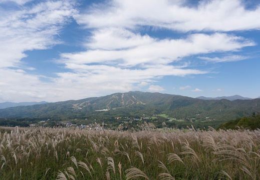 201410040959-DSC04883N6.jpg