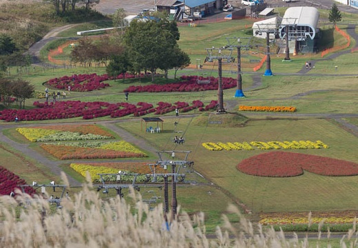 201410041017-DSC07270.jpg