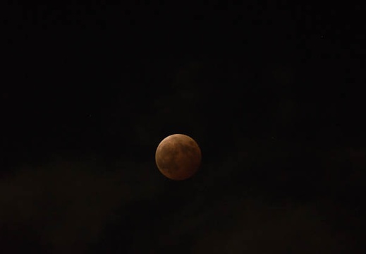 201410081959-DSC07760.jpg