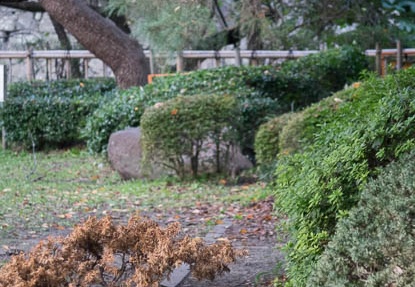201410231601-DSC01781R10.jpg