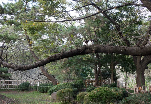201410231602-DSC01784R10.jpg