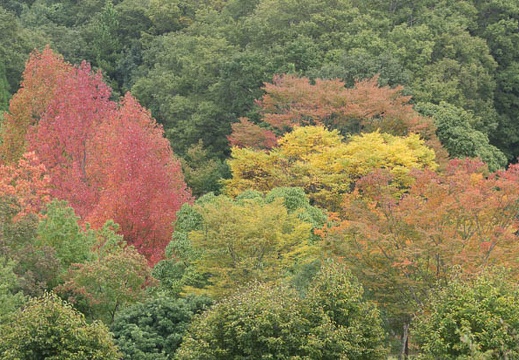 201410261008-DSC04987.jpg
