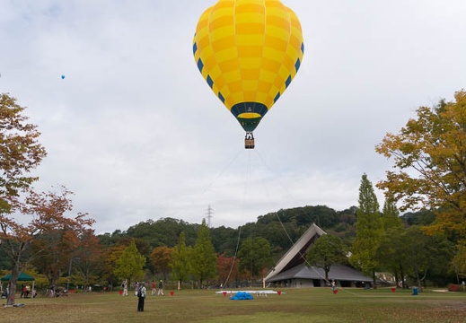 201410261156-DSC05798N6.jpg