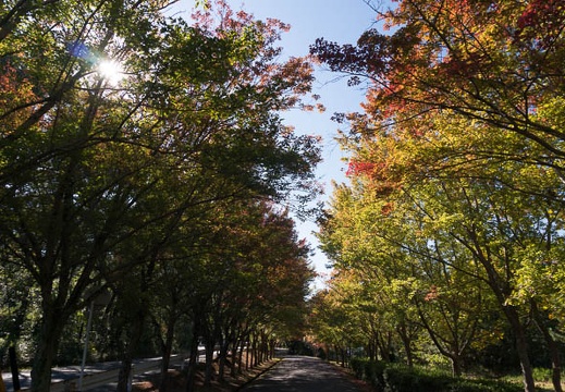 201410281327-DSC05812N6.jpg