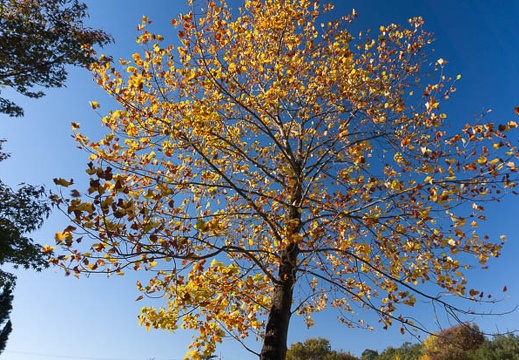 201410281424-DSC05829N6.jpg
