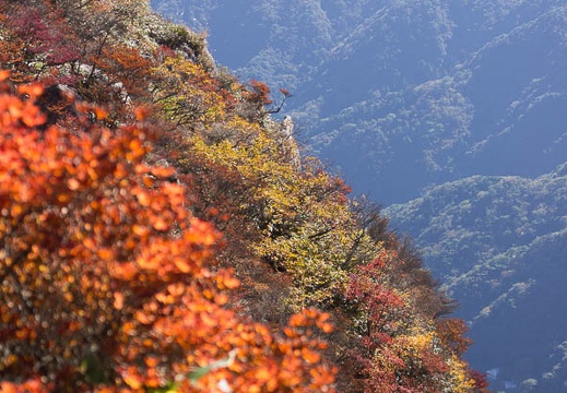 201410290942-DSC05311.jpg