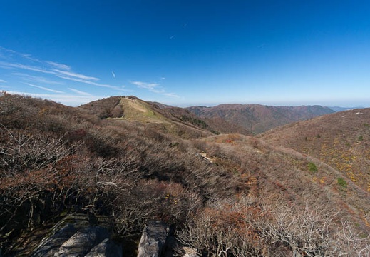 201410291008-DSC05925N6.jpg