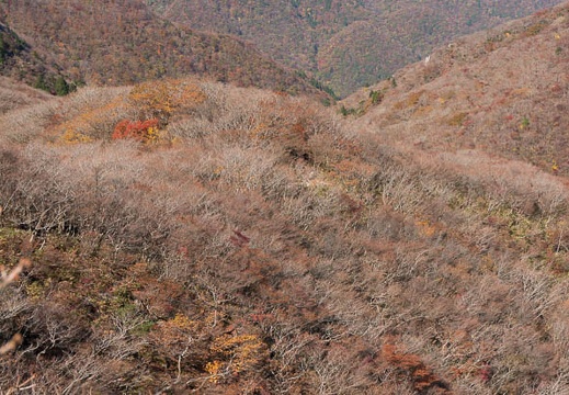 201410291013-DSC05936N6.jpg