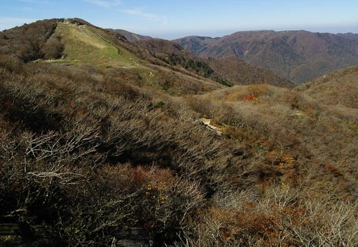 20141029101448-SH-06F.jpg