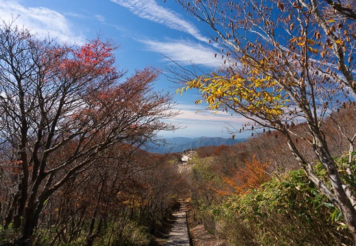 201410291102-DSC06012N6.jpg