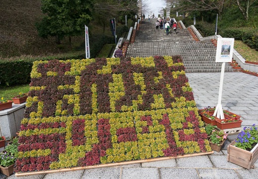 201411021032-DSC06265N6.jpg