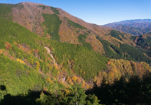 201411040911-DSC06520N6.jpg