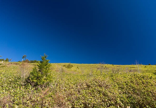 201411041019-DSC06598N6.jpg