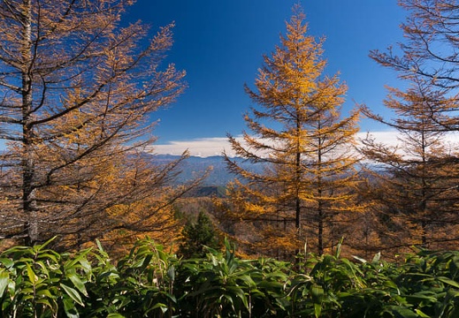 201411041231-DSC06751N6.jpg